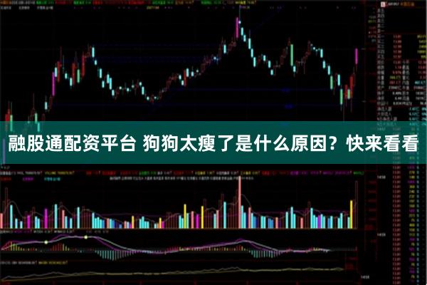 融股通配资平台 狗狗太瘦了是什么原因？快来看看