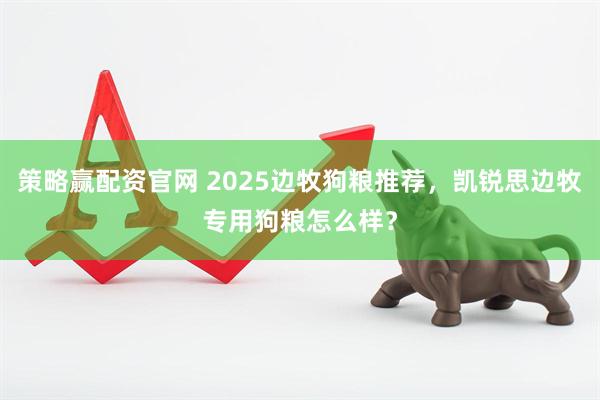 策略赢配资官网 2025边牧狗粮推荐，凯锐思边牧专用狗粮怎么样？