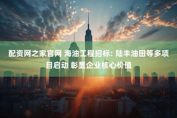 配资网之家官网 海油工程招标: 陆丰油田等多项目启动 彰显企业核心价值