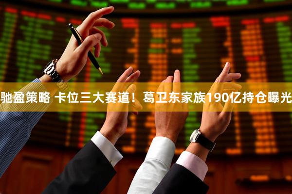 驰盈策略 卡位三大赛道！葛卫东家族190亿持仓曝光